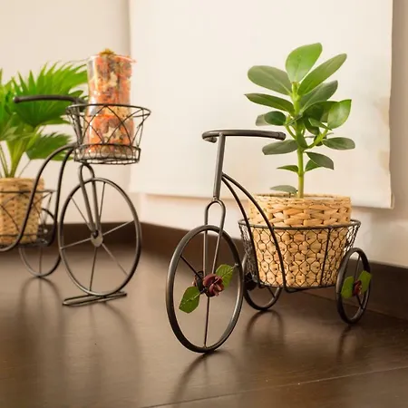 Heart Of Apartament Bucureşti